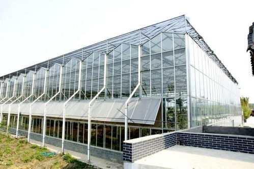 玻璃溫室大棚建設(shè)一畝地造價(jià)多少錢